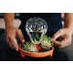 Self-Watering Compact Planters Image 1