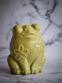 Charming Chocolate Frogs Image 1