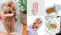 Spring-Inspired Pet Collections Image 1