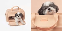 Spring-Inspired Pet Collections Image 3