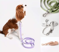 Spring-Inspired Pet Collections Image 4