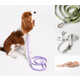 Spring-Inspired Pet Collections Image 4
