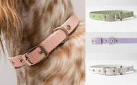 Spring-Inspired Pet Collections Image 5