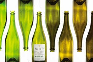 Sustainable Wine Bottle Designs Article Thubnail