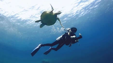 Modular Aquatic Scooter Designs