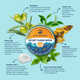 Eco-Safe Sunscreen Balms Image 1