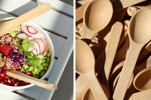 Biodegradable Restaurant Cutlery Article Thubnail