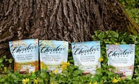Flavor-Filled Easter Chocolates Image 1