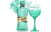 Specialized Minty Gin Glassware Image 1