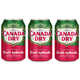 Fruity Cherry-Flavored Ginger Ales Image 1