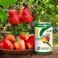 Canned Cashew Sodas Image 1