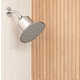 Cleanliness-Promoting Shower Heads Image 1