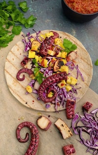 Plant-Based Octopus Alternatives Image 3