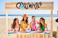 Hydrating Kid-Friendly Cactus Waters Image 1