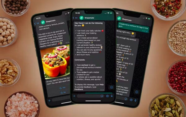 AI Fitness Chatbots