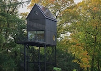 Elevated Treetop Modern Cabins