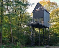 Elevated Treetop Modern Cabins Image 3