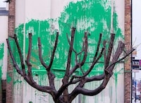 Tree-Integrated Mysterious Art