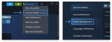 Online Family Sharing Systems