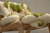 Plant-Based Dynamic Furniture Image 2