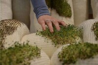 Plant-Based Dynamic Furniture Image 3