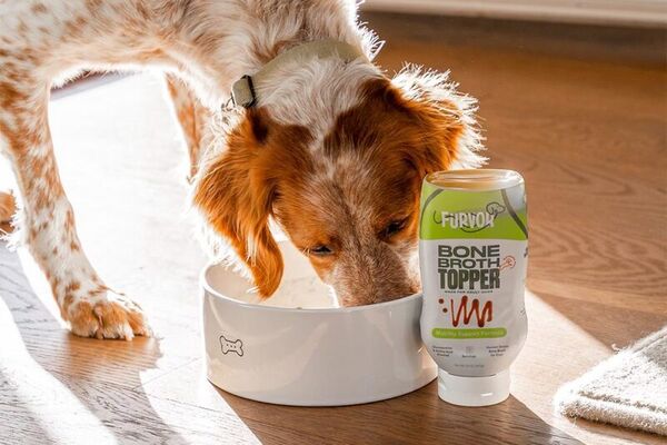 Nutritious Bone Broth Toppers