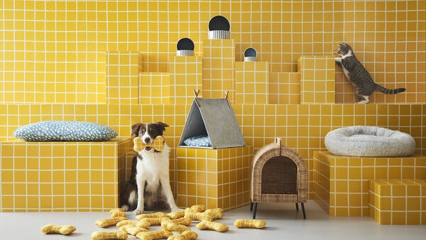 Uplifting Pet Products