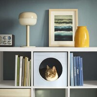 Uplifting Pet Products Image 2