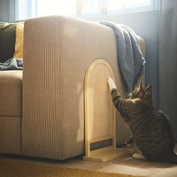 Uplifting Pet Products Image 3