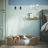 Uplifting Pet Products Image 4