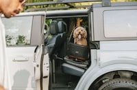 Ultra-Safe Pet Car Seats Image 1
