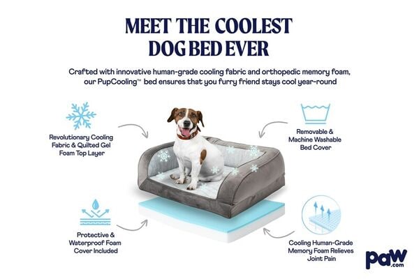 Cooling Orthopedic Dog Beds