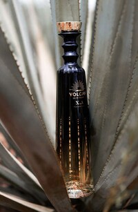 Ultra-Elegant Tequila Branding Image 2
