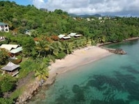 Plant-Based Lifestyle Getaways