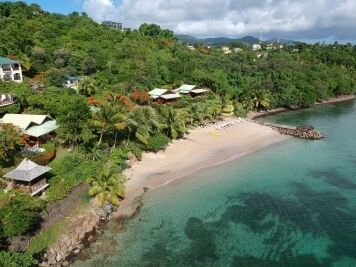 Plant-Based Lifestyle Getaways