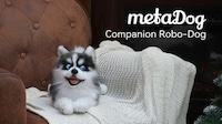 Robotic Canine Companions