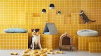 Affordable Pet-Specific Products