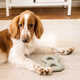 Affordable Pet-Specific Products Image 2