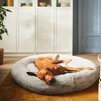 Affordable Pet-Specific Products Image 3