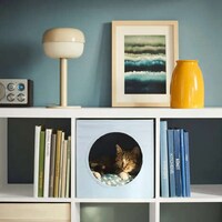 Affordable Pet-Specific Products Image 4