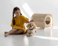 Flexible Plywood-Made Pet Houses Image 1