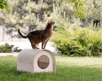 Flexible Plywood-Made Pet Houses Image 3