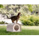 Flexible Plywood-Made Pet Houses Image 3