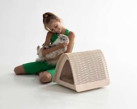 Flexible Plywood-Made Pet Houses Image 5