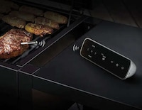 Interactive Meat Thermometers Image 1