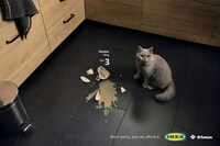 Playful Pet Accident Campaigns Image 1