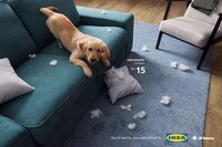 Playful Pet Accident Campaigns Image 2