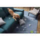 Playful Pet Accident Campaigns Image 2