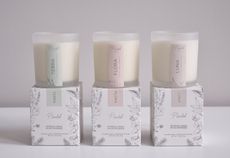 Sustainably Minded Candle Brands Article Thubnail