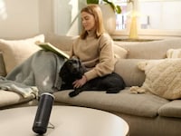 Targeted Portable Air Purifiers Image 3